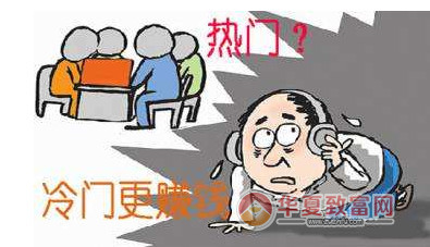 冷门创业好项目
